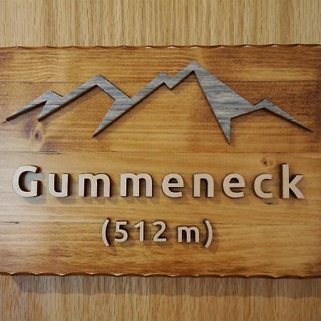 Gummeneck - Stubenhof, Black Forest Simonswald Zewnętrze zdjęcie