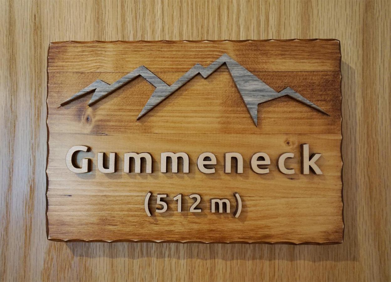 Gummeneck - Stubenhof, Black Forest Simonswald Zewnętrze zdjęcie